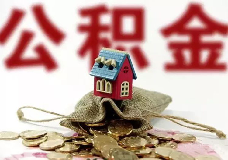上海市金山区应急贷：快速解决资金困境的最佳选择